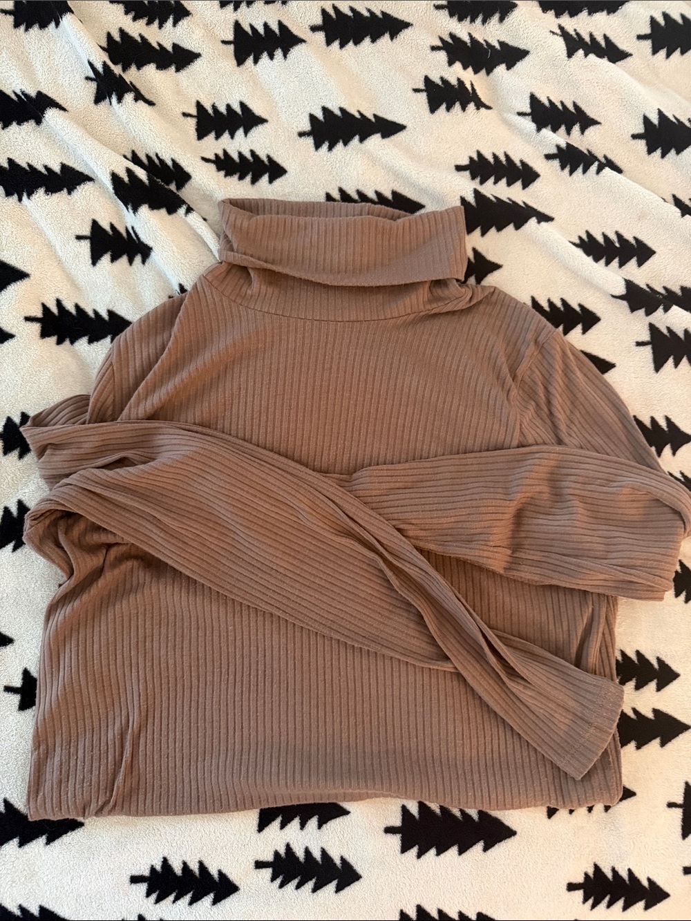 Madewell Women’s Ribbed Turtleneck Sweater in Taupe